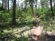 7.30.06 Coyote Wall, Labyrinth 018 